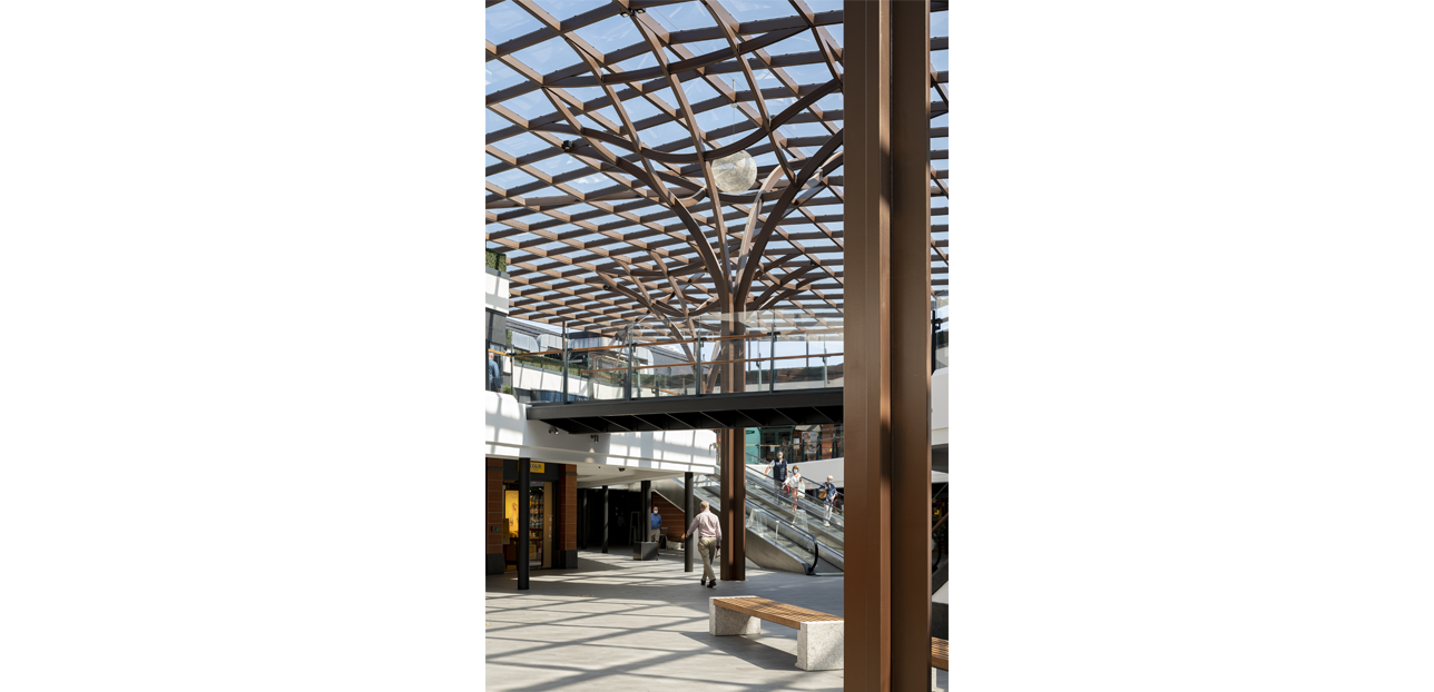 Blackrock Shopping Centre